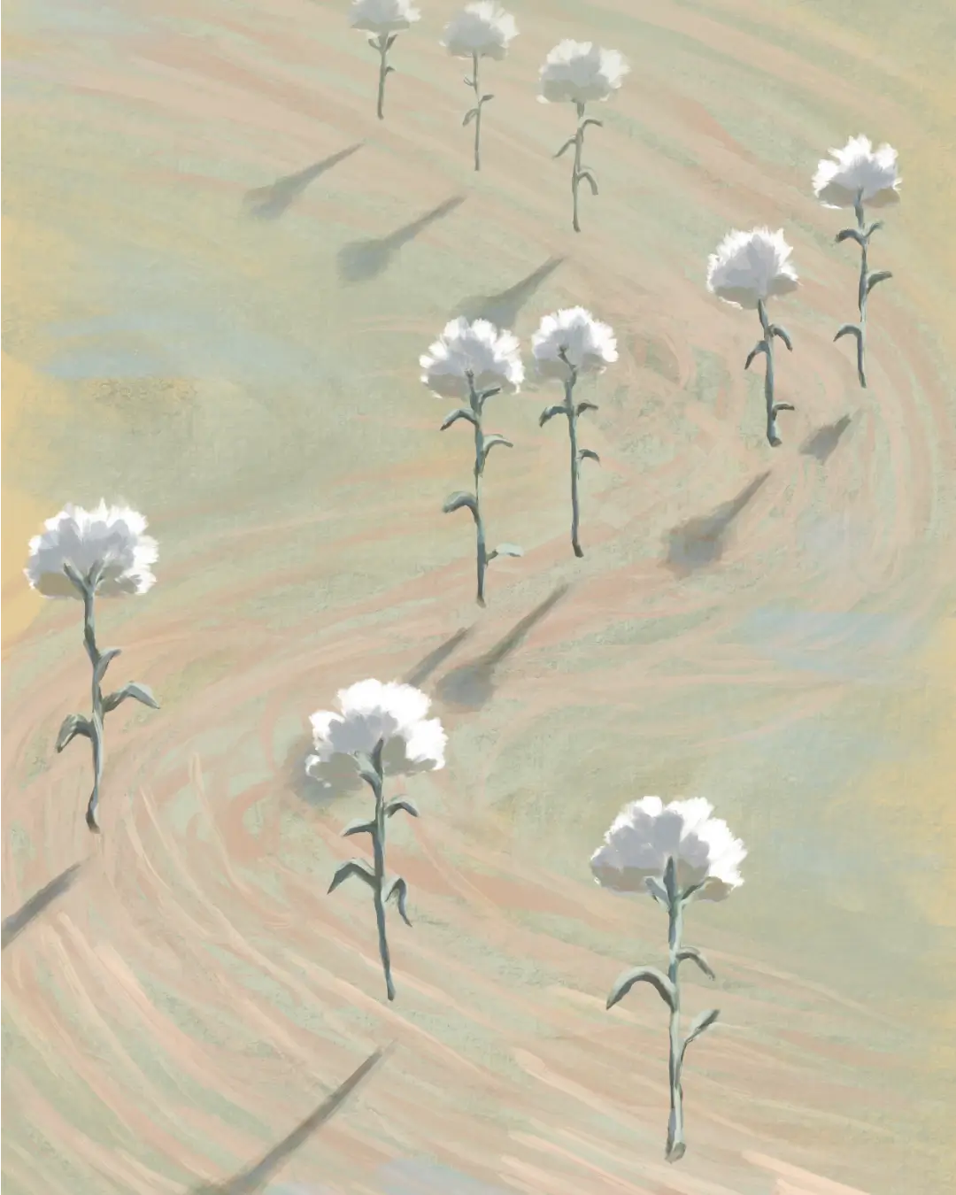 Ilustración digital de flores blancas. Juan Alcalá-Zamora, Artista Visual, Ilustrador y Diseñador Gráfico